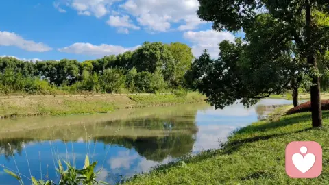 那个不给别人打伞，陪着淋雨的人