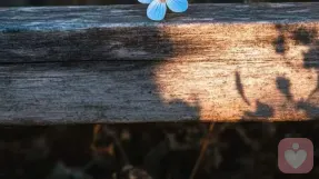 家庭边界感：错位的亲密，是关系最大的内耗