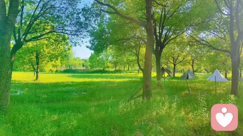 青色道气，自然清金