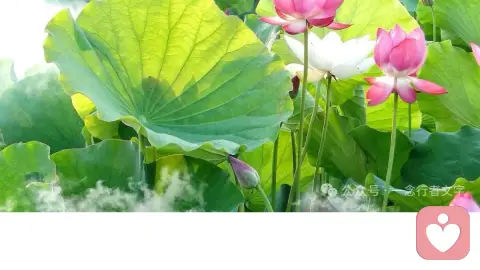 “我为什么不快乐？”——心理咨询师胡春红陪你看见自己的15分钟