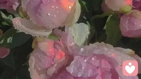 恋爱中过度依赖，如何摆脱情感依附焦虑？