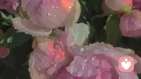 恋爱中过度依赖，如何摆脱情感依附焦虑？