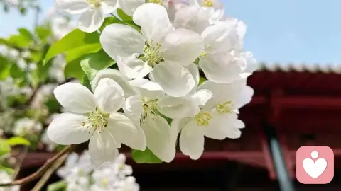 你在恋爱中为什么总是患得患失？