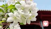 你在恋爱中为什么总是患得患失？