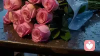 两性之间从来不是对立，而是读懂与适配