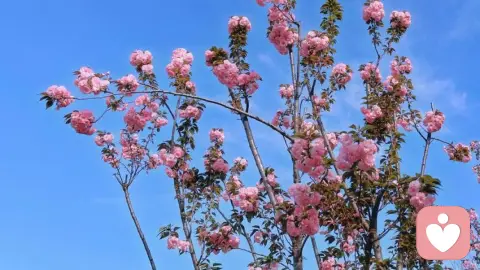 为什么异地恋不容易维持？