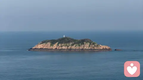 多维视角下的精神病：从病理机制到社会重构