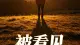 在感情的世界里我们都期待一种“被看见”
