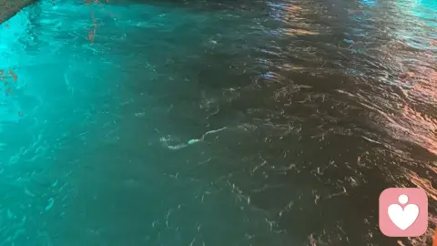 内向 只是一种安静的力量