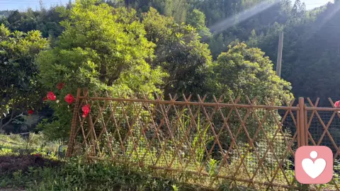 历经世事，方懂真心可贵