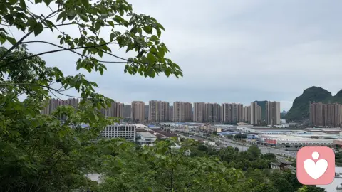 甜言蜜语听多了，我们都忘了真话有多珍贵