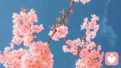 情绪ABC理论，解锁你的情绪密码