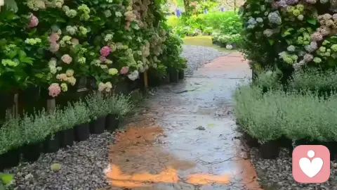 认知行为疗法