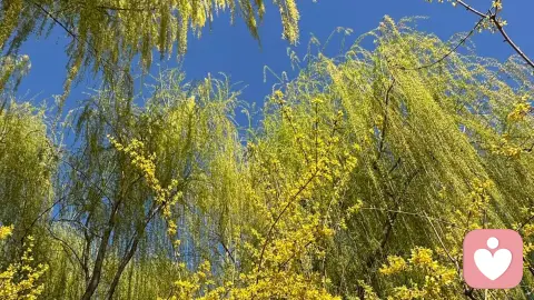 家庭教育忠告：别用你的焦虑，毁掉孩子的内在确定性