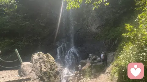 随笔丨菜就多练系列：有趣的反移情