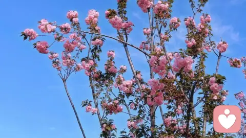 两性关系吸引力的底层逻辑