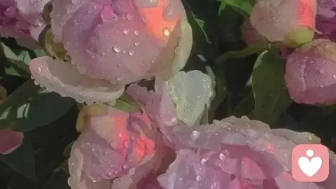 亲密关系当中的本能与边界