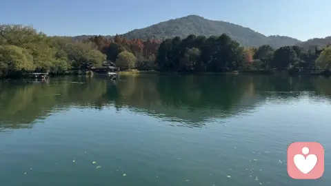 面对掌控欲强的父母：先解绑愧疚，再设立边界