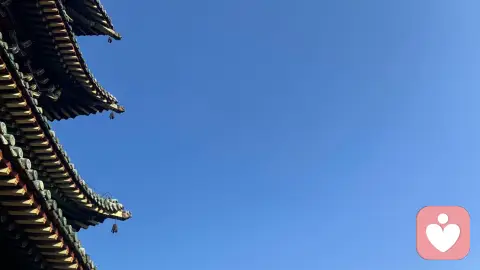 情绪与欲望，克制自省，方能自渡