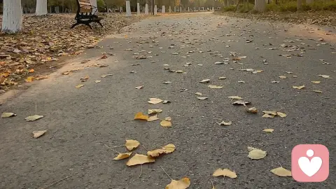 一定要让您的孩子在家里完成社会化