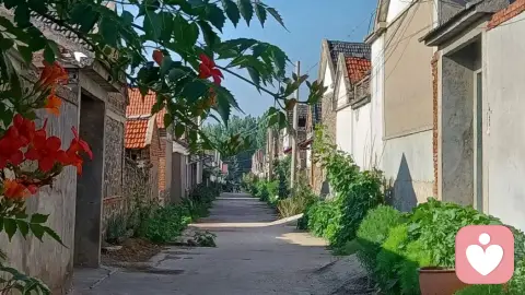 走出讨好的自救路径