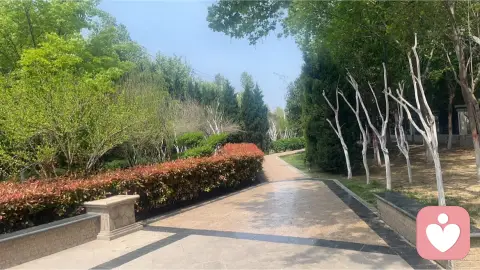 讨好型人格的底层逻辑