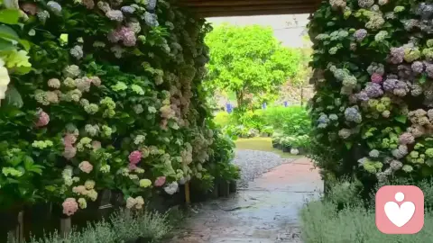 拒绝冷暴力，停止内耗