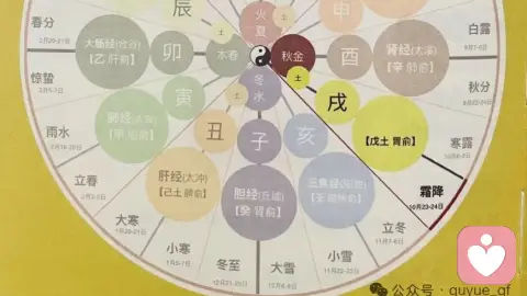 婚恋避坑-别让表象迷惑你的余生