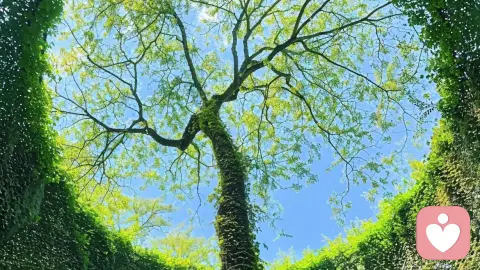 从财务到倾听师:我用自愈,接住自己也接住你