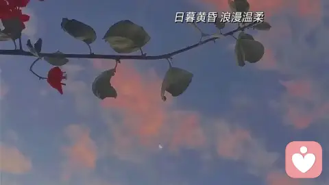 未被疗愈的创伤是强迫性思维的底层根源
