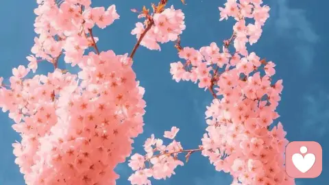 强迫性思维是个体对抗司空感焦虑的防御机制