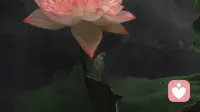 五十不设限，以文润心，以听暖人