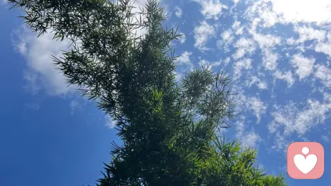 遇到0到3岁的宝宝家长应该怎么做