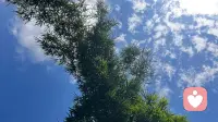 遇到0到3岁的宝宝家长应该怎么做
