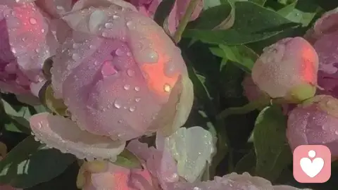 告别过度内耗,学会课题分离