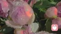 告别过度内耗，学会课题分离