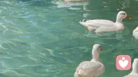 无人懂的苦，自愈前行