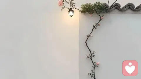 允许自己不完美,是成年人最好的自愈