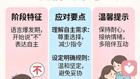 “不”字当头——Terrible Two提前到来怎么办