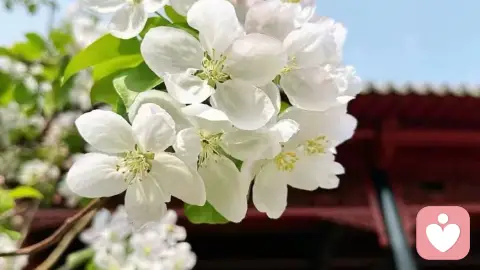 出轨过的人为什么很容易再次出轨?