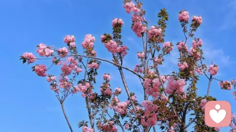 止损情绪内耗，唤起内心力量