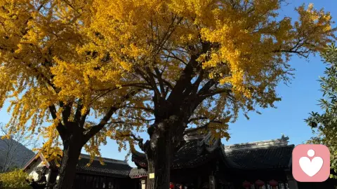 心里不慌，身体先报警？教你科学对抗躯体焦虑
