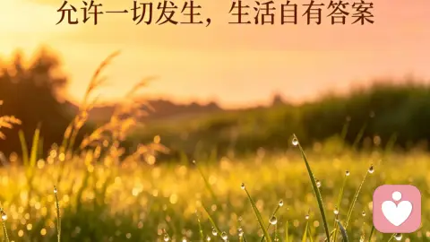 允许一切发生,生活自有答案