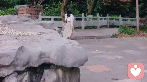 成年人最顶级的清醒:戒掉天降好运的幻想