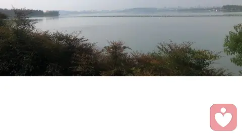 新的生活开始了,长路漫漫亦灿灿 ,愿做大家的解语花!