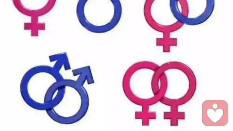 撕开婚姻的真相:性是底色,爱是奢侈品