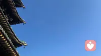 成年人最高级的修行是：放过自己