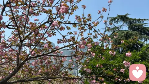 为什么说钱才是婚姻的地基？这两项研究说透了真相