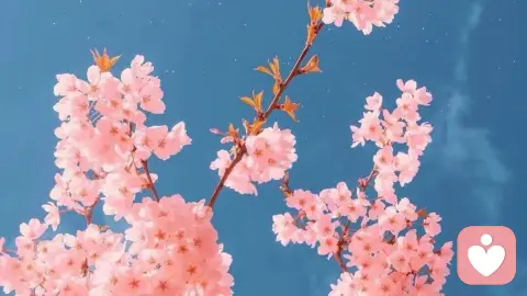 伴侣之间沟通致命误区，一个人谈事，一个人谈情，沟通不在一个频率上