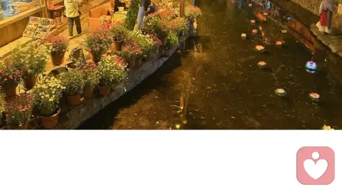 在失败中站起，每一次跌倒都是重生